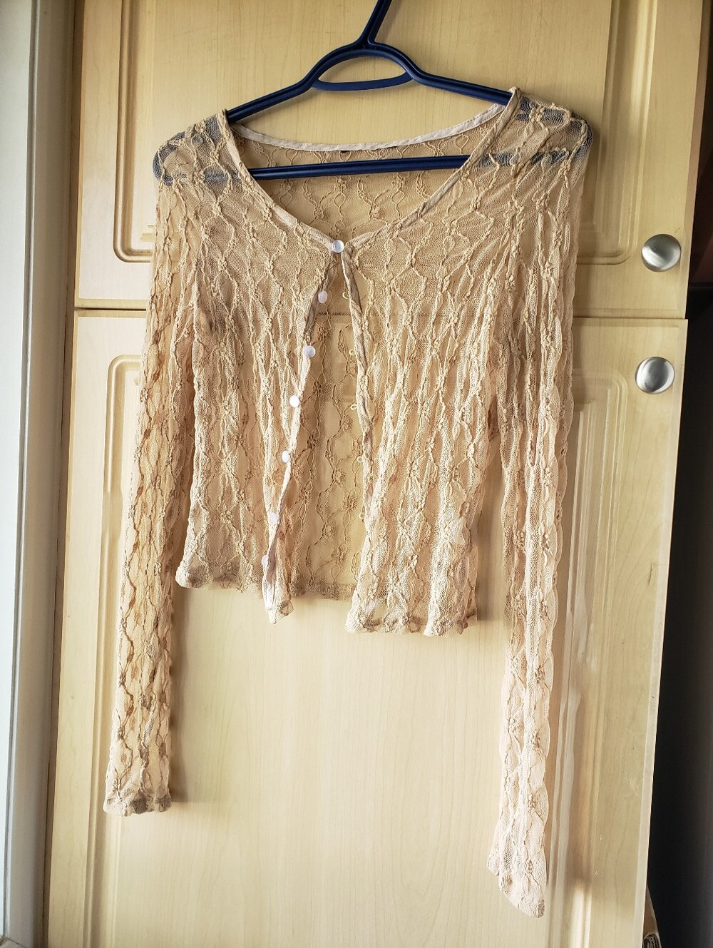 Sheer Lace Button-Front Crop Top in Beige